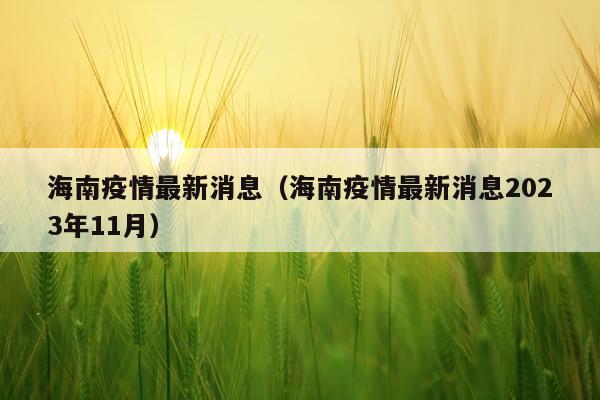 海南疫情最新消息（海南疫情最新消息2023年11月）