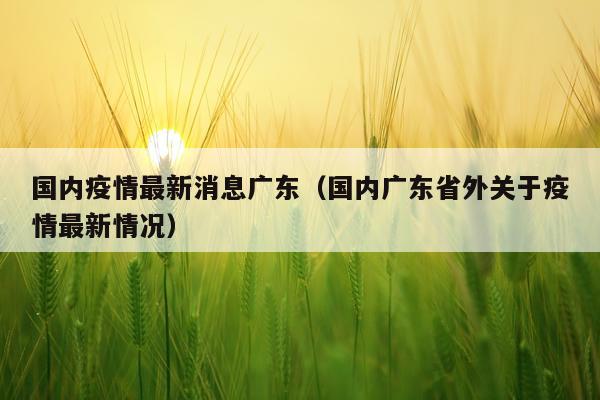 国内疫情最新消息广东（国内广东省外关于疫情最新情况）