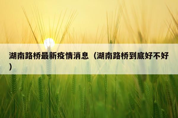 湖南路桥最新疫情消息（湖南路桥到底好不好）