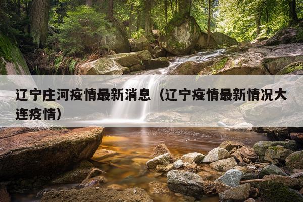 辽宁庄河疫情最新消息（辽宁疫情最新情况大连疫情）