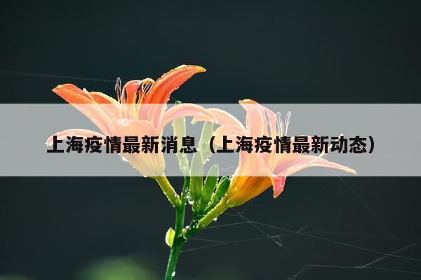 上海疫情最新消息（上海疫情最新动态）