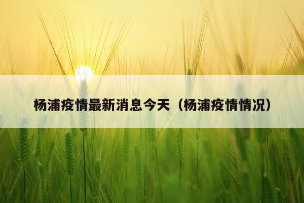 杨浦疫情最新消息今天（杨浦疫情情况）