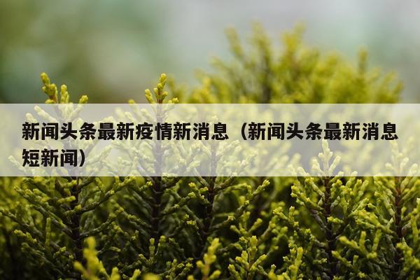 新闻头条最新疫情新消息(新闻头条最新消息短新闻)