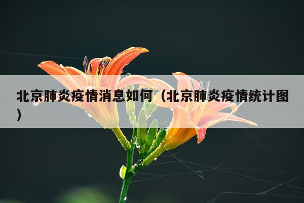 北京肺炎疫情消息如何(北京肺炎疫情统计图)