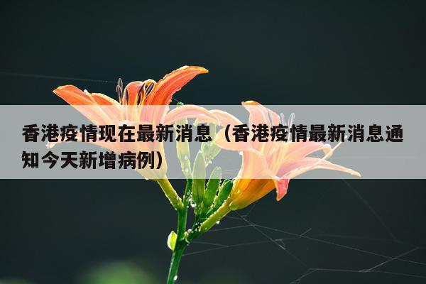 香港疫情现在最新消息(香港疫情最新消息通知今天新增病例)