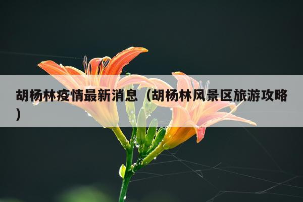 胡杨林疫情最新消息(胡杨林风景区旅游攻略)