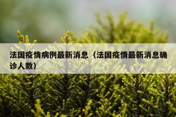 法国疫情病例最新消息(法国疫情最新消息确诊人数)