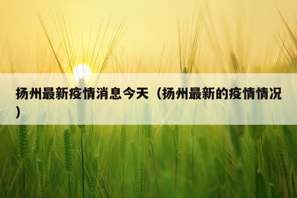 扬州最新疫情消息今天(扬州最新的疫情情况)