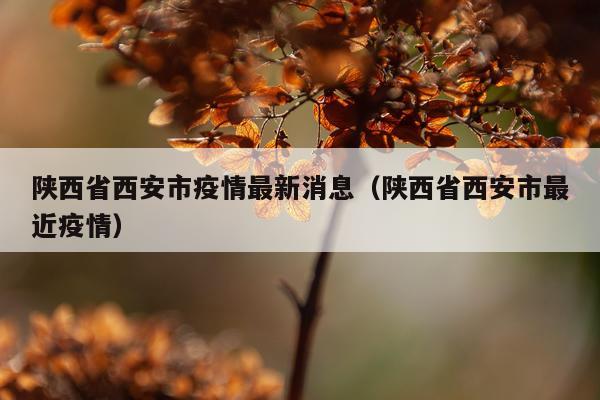 陕西省西安市疫情最新消息(陕西省西安市最近疫情)