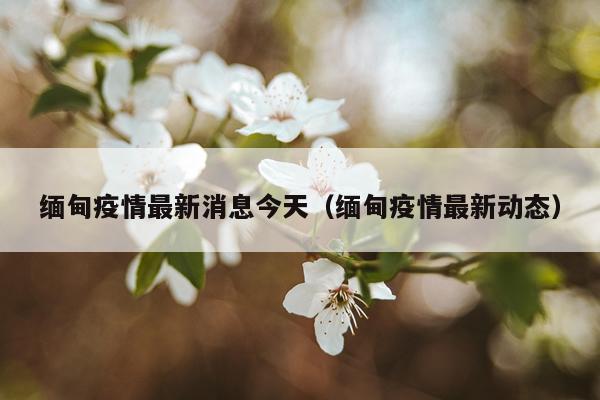 缅甸疫情最新消息今天（缅甸疫情最新动态）