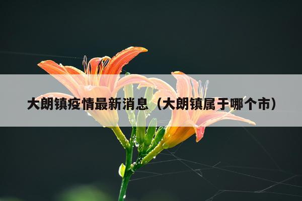 大朗镇疫情最新消息（大朗镇属于哪个市）