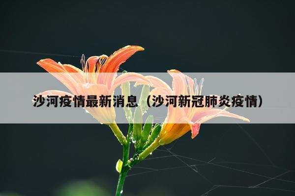 沙河疫情最新消息(沙河新冠肺炎疫情)