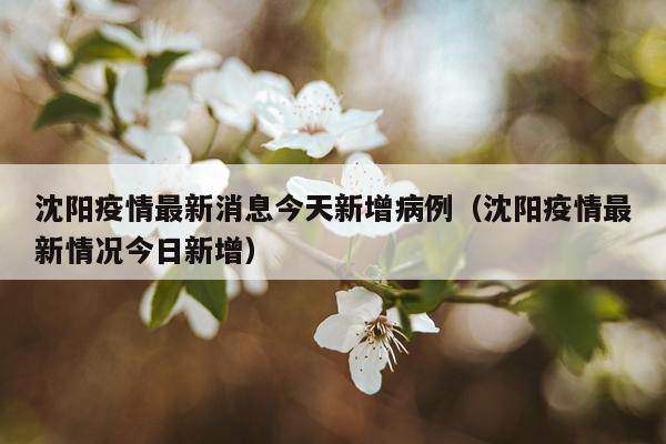 沈阳疫情最新消息今天新增病例（沈阳疫情最新情况今日新增）