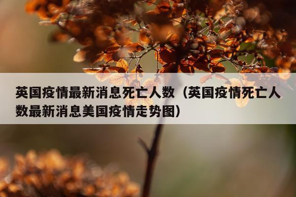 英国疫情最新消息死亡人数(英国疫情死亡人数最新消息美国疫情走势图)