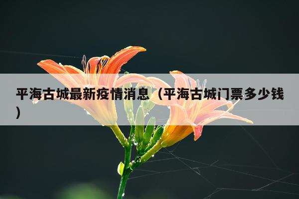 平海古城最新疫情消息（平海古城门票多少钱）