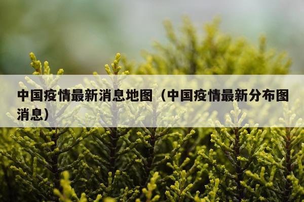 中国疫情最新消息地图(中国疫情最新分布图消息)