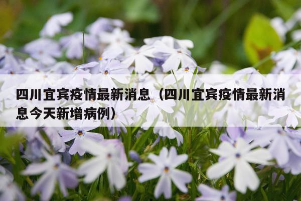 四川宜宾疫情最新消息（四川宜宾疫情最新消息今天新增病例）