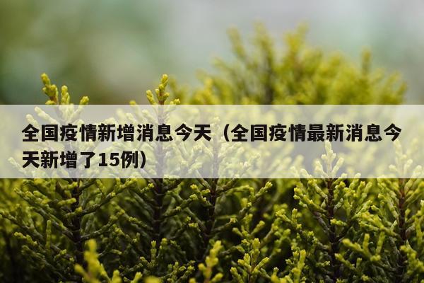 全国疫情新增消息今天（全国疫情最新消息今天新增了15例）