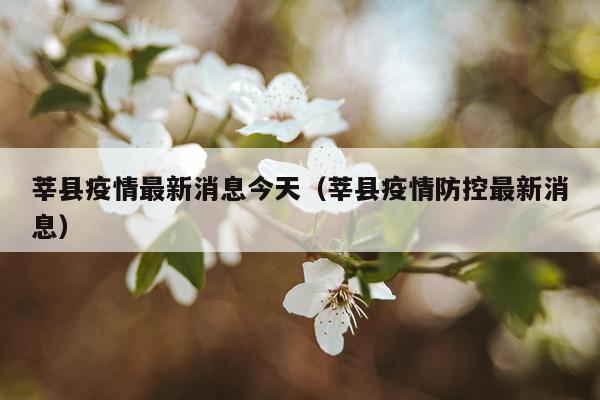莘县疫情最新消息今天（莘县疫情防控最新消息）