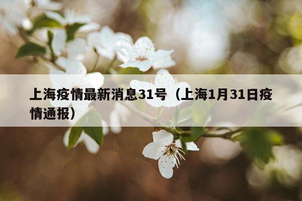 上海疫情最新消息31号（上海1月31日疫情通报）