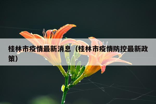 桂林市疫情最新消息(桂林市疫情防控最新政策)