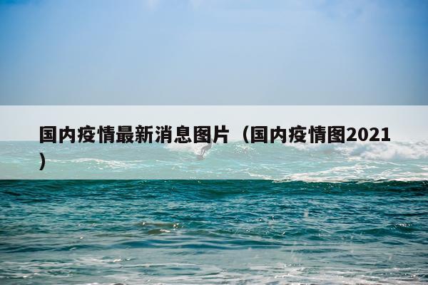 国内疫情最新消息图片(国内疫情图2021)