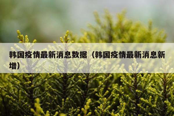 韩国疫情最新消息数据(韩国疫情最新消息新增)
