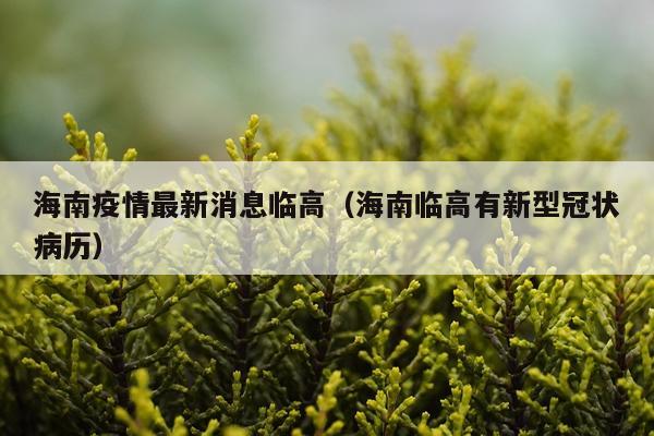 海南疫情最新消息临高(海南临高有新型冠状病历)