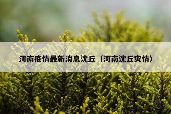 河南疫情最新消息沈丘(河南沈丘灾情)