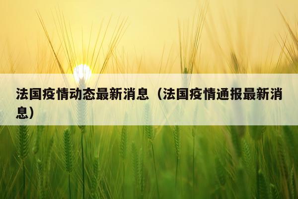 法国疫情动态最新消息(法国疫情通报最新消息)