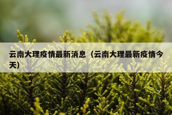 云南大理疫情最新消息(云南大理最新疫情今天)