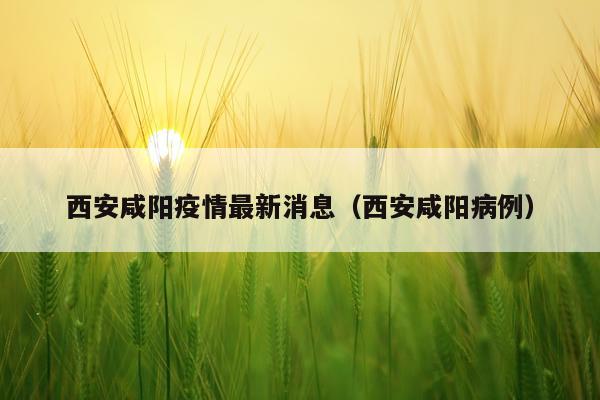 西安咸阳疫情最新消息(西安咸阳病例)