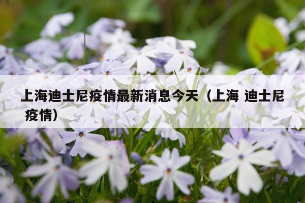 上海迪士尼疫情最新消息今天(上海 迪士尼 疫情)
