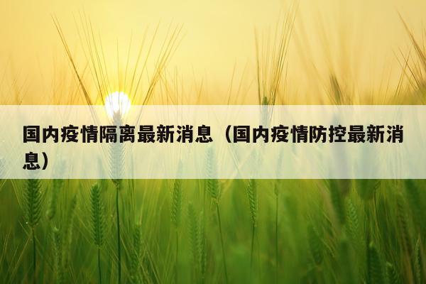 国内疫情隔离最新消息(国内疫情防控最新消息)