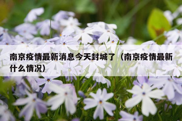 南京疫情最新消息今天封城了(南京疫情最新什么情况)