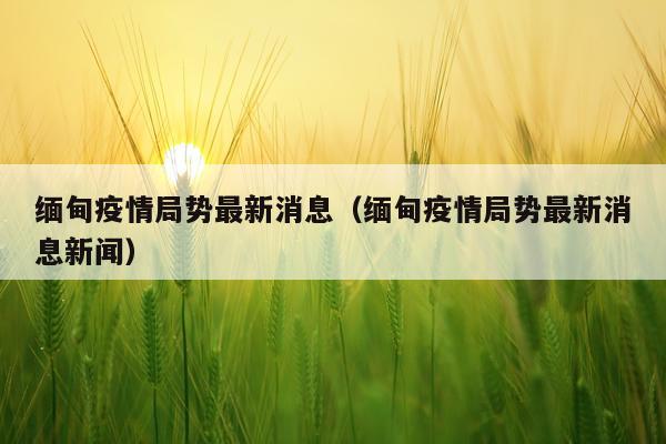 缅甸疫情局势最新消息(缅甸疫情局势最新消息新闻)