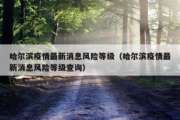哈尔滨疫情最新消息风险等级(哈尔滨疫情最新消息风险等级查询)