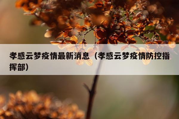 孝感云梦疫情最新消息(孝感云梦疫情防控指挥部)