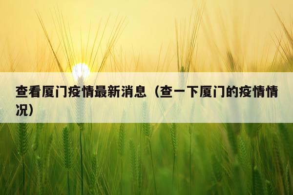 查看厦门疫情最新消息(查一下厦门的疫情情况)