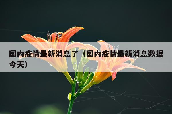 国内疫情最新消息了(国内疫情最新消息数据今天)