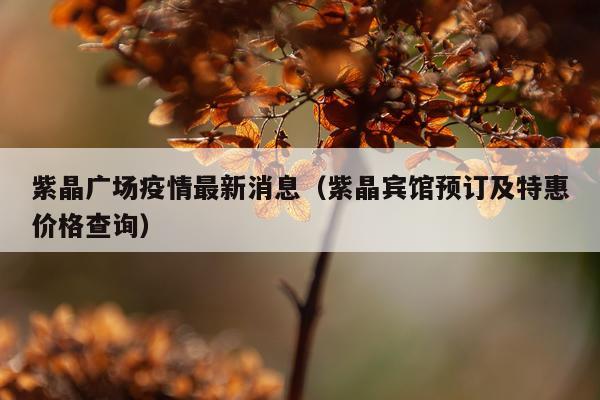 紫晶广场疫情最新消息(紫晶宾馆预订及特惠价格查询)