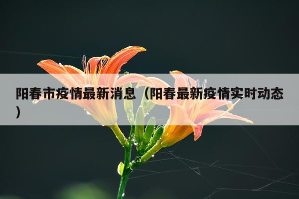 阳春市疫情最新消息(阳春最新疫情实时动态)
