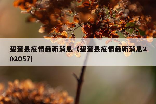 望奎县疫情最新消息(望奎县疫情最新消息202057)