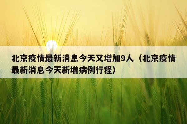 北京疫情最新消息今天又增加9人(北京疫情最新消息今天新增病例行程)