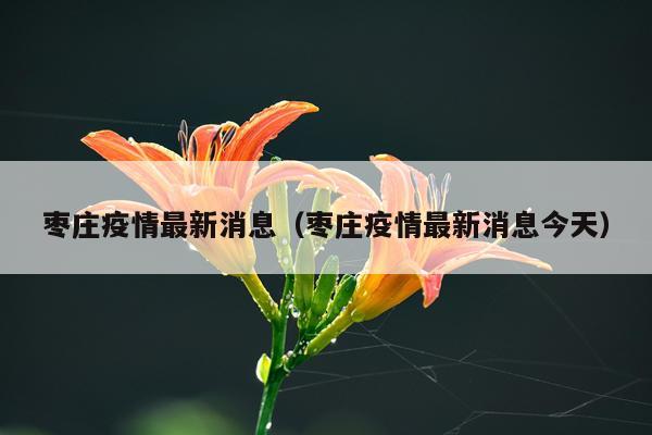 枣庄疫情最新消息(枣庄疫情最新消息今天)