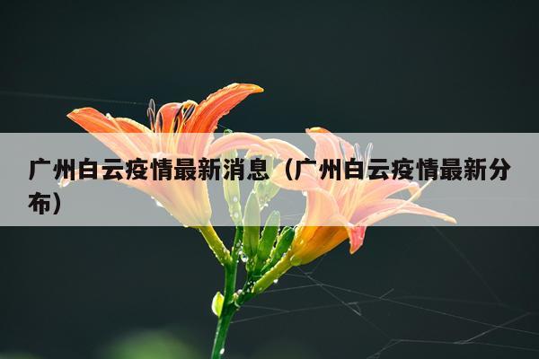 广州白云疫情最新消息(广州白云疫情最新分布)