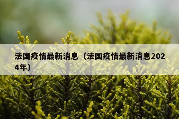 法国疫情最新消息(法国疫情最新消息2024年)