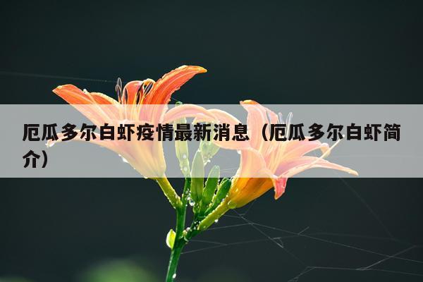 厄瓜多尔白虾疫情最新消息(厄瓜多尔白虾简介)