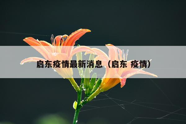 启东疫情最新消息(启东 疫情)