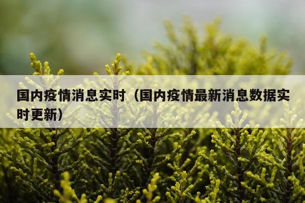国内疫情消息实时(国内疫情最新消息数据实时更新)